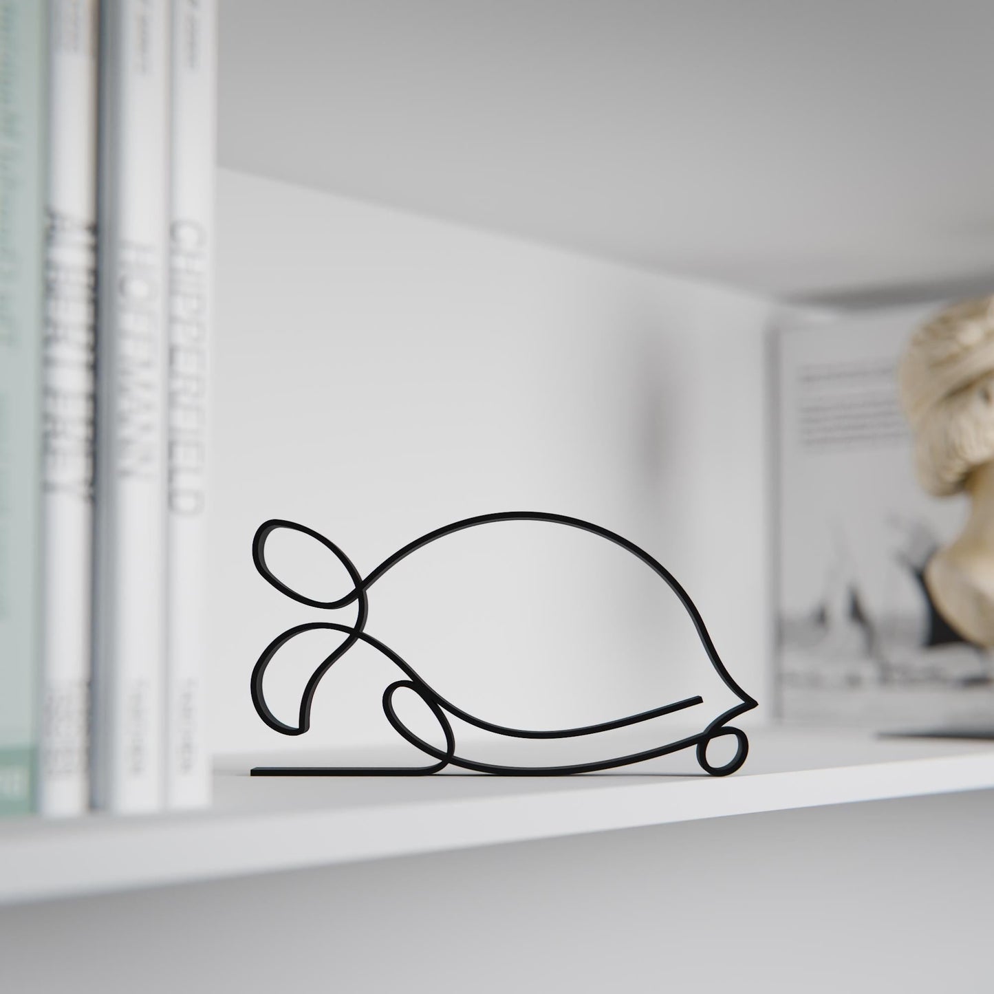 Anatolian Gift BoxTurtle - Line Art Figure