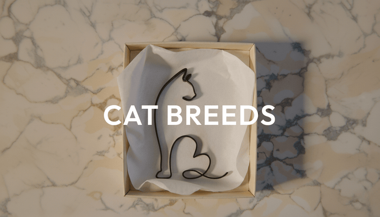 Cat Breeds - Anatolian Gift Box