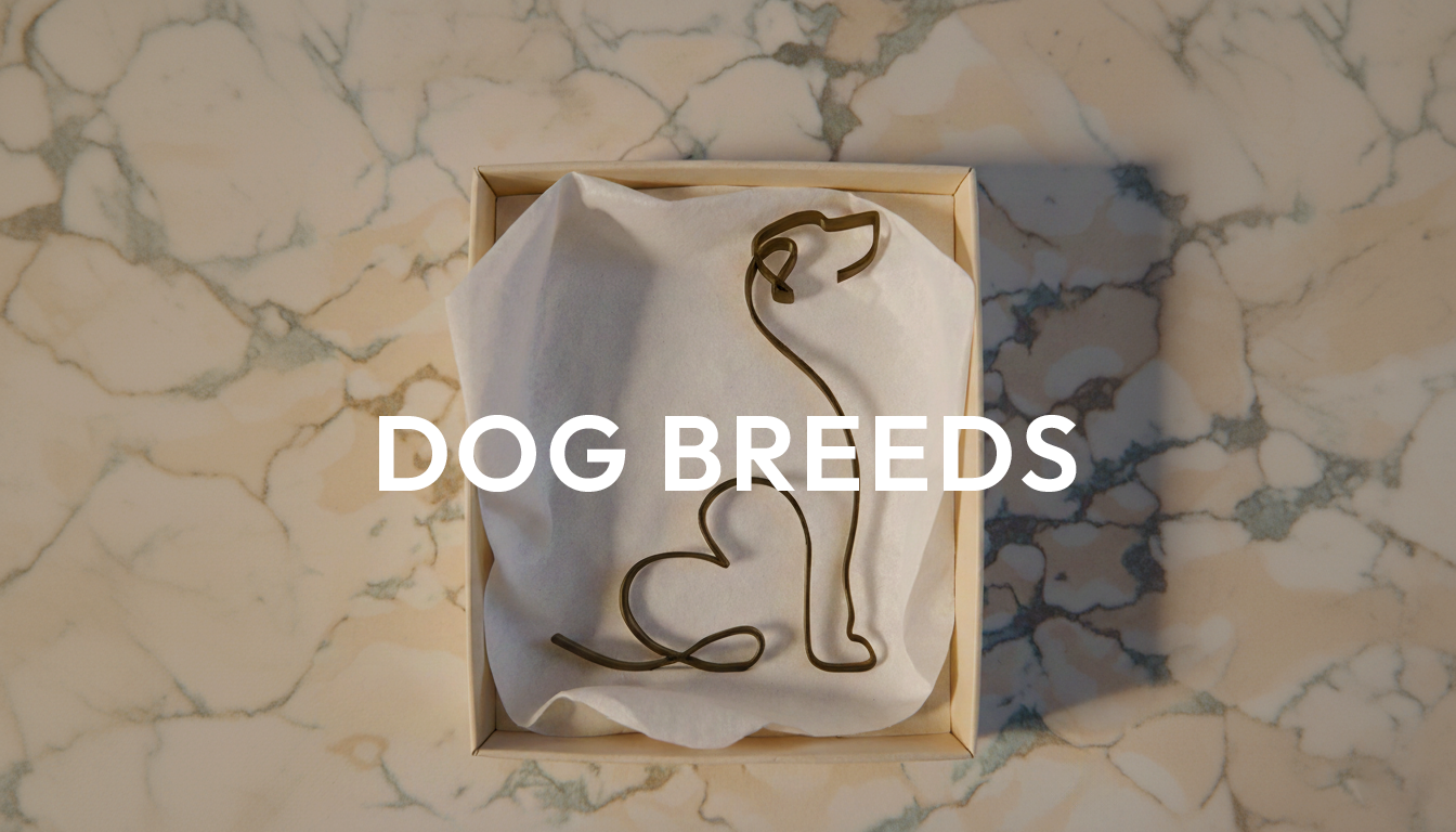 Dog Breeds - Anatolian Gift Box