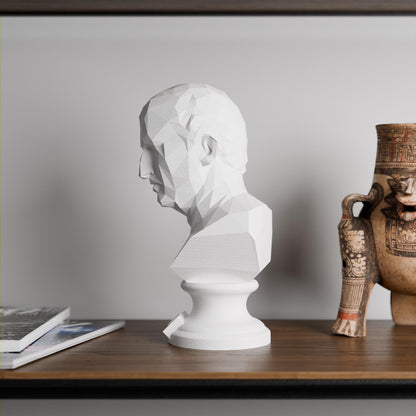 Anatolian Gift BoxCicero - Low Poly Bust