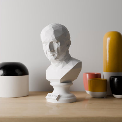 Anatolian Gift BoxCicero - Low Poly Bust