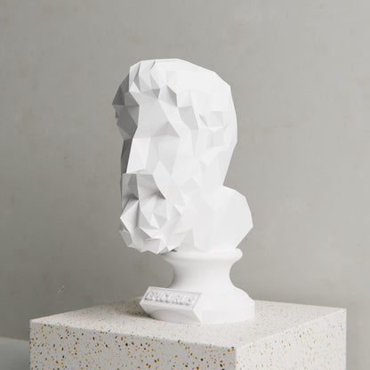 Anatolian Gift BoxEpicurus - Low Poly Bust