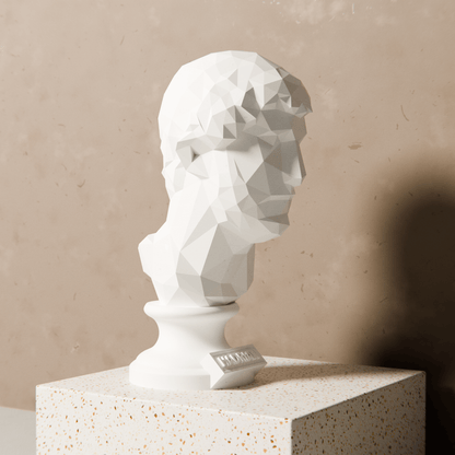 Anatolian Gift BoxHadrian - Low Poly Bust