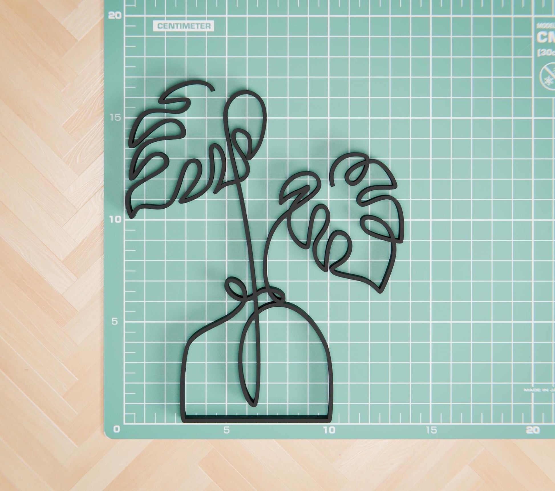 Monstera Plant - Line Art Figure