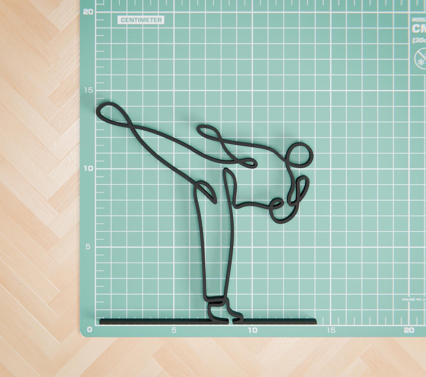 Taekwondo Practitioner - Customized Line Art Figure