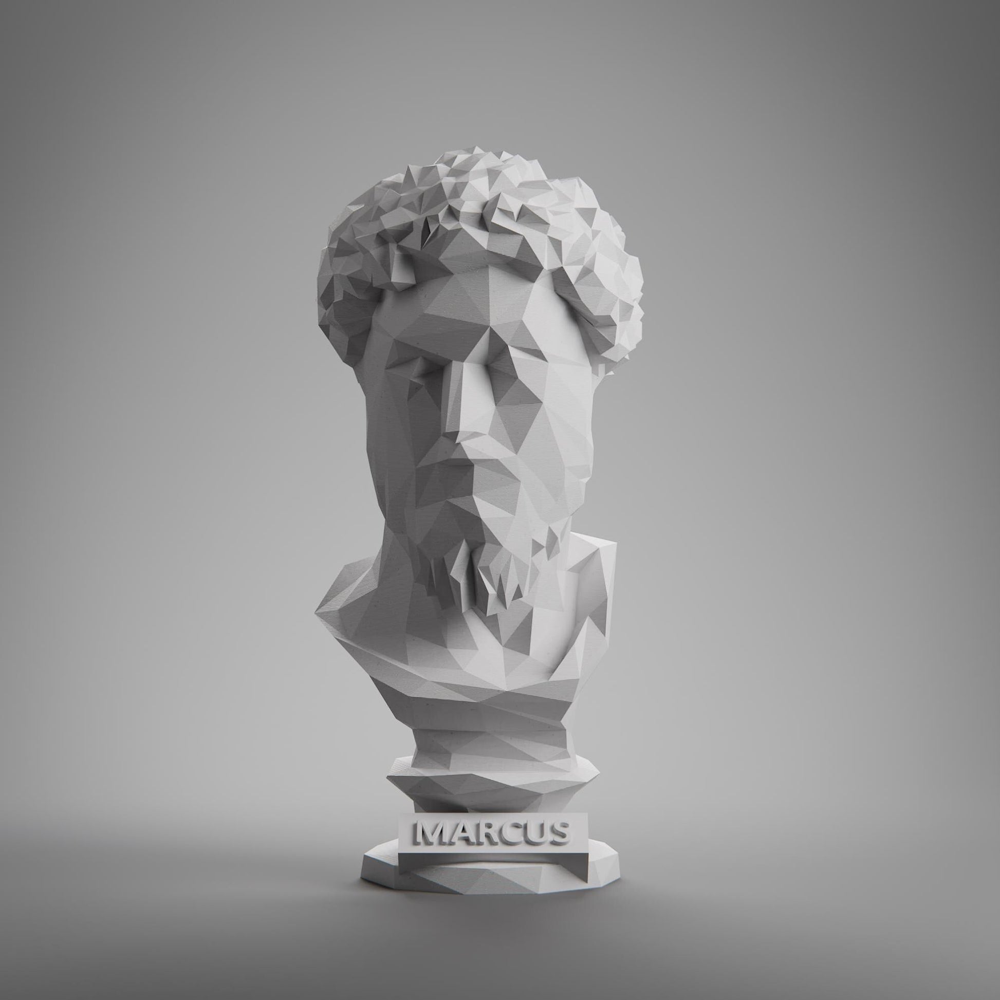 Anatolian Gift BoxMarcus Aurelius, Low Poly Bust, Greek Stoic Philosopher Sculpture, Stoic Sculpture, 3D Printed Gift, Home Decor, Office Decor