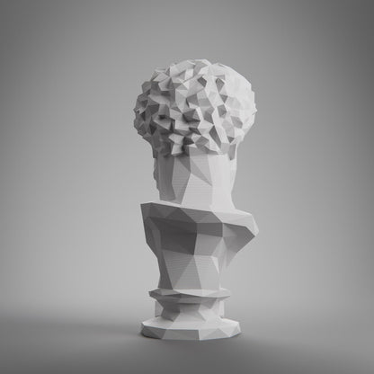 Anatolian Gift BoxMarcus Aurelius, Low Poly Bust, Greek Stoic Philosopher Sculpture, Stoic Sculpture, 3D Printed Gift, Home Decor, Office Decor