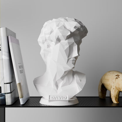 Anatolian Gift BoxMichelangelo’s David - Low Poly Bust