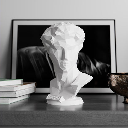 Anatolian Gift BoxMichelangelo’s David - Low Poly Bust