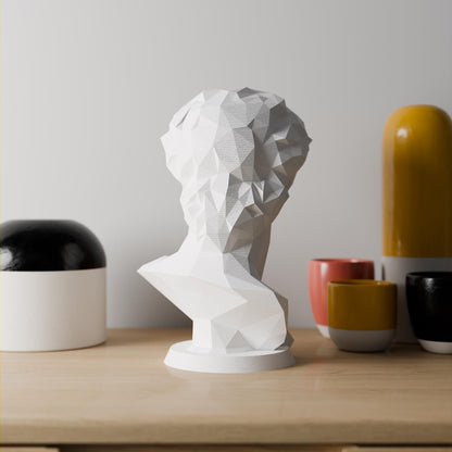 Anatolian Gift BoxMichelangelo’s David - Low Poly Bust