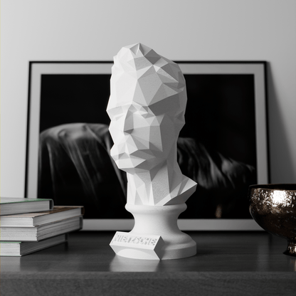 Anatolian Gift BoxNietzsche - Low Poly Bust