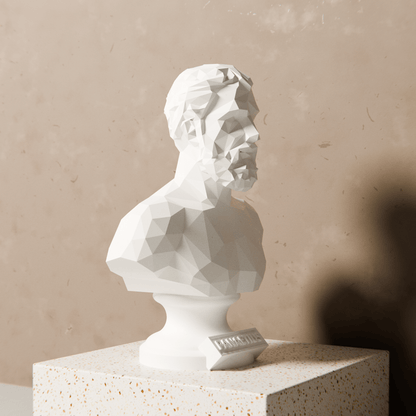 Anatolian Gift BoxPanaetius - Low Poly Bust