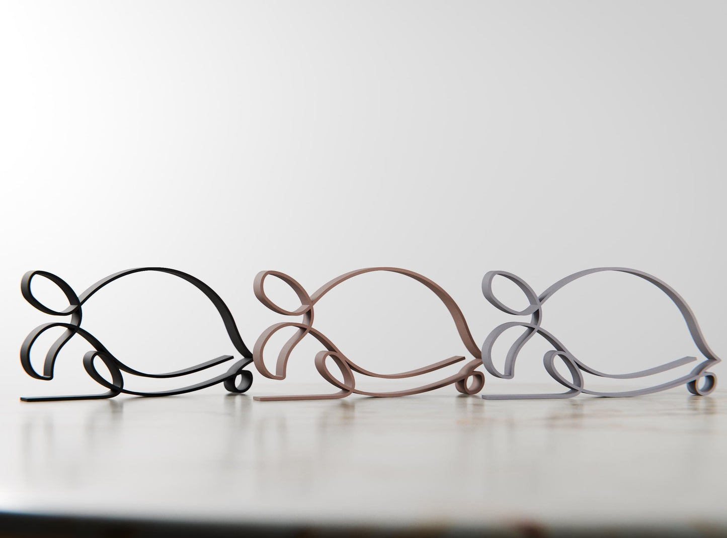 Anatolian Gift BoxTurtle - Line Art Figure