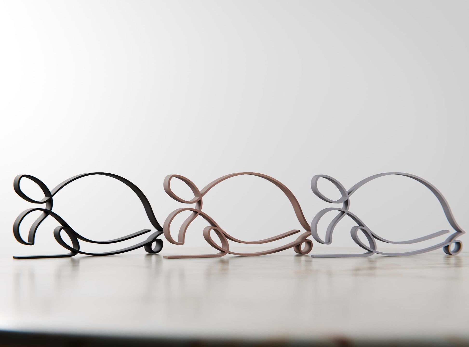 Anatolian Gift BoxTurtle - Line Art Figure