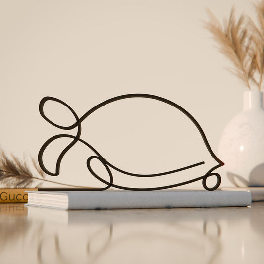 Anatolian Gift BoxTurtle - Line Art Figure