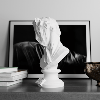 Anatolian Gift BoxVeiled Lady - Low Poly Bust