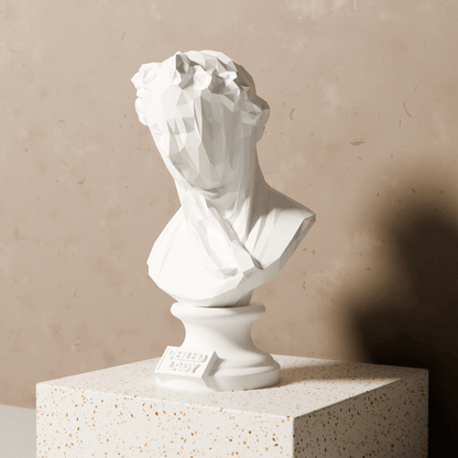 Anatolian Gift BoxVeiled Lady - Low Poly Bust