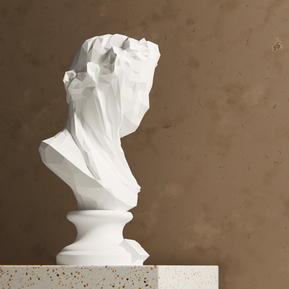 Anatolian Gift BoxVeiled Lady - Low Poly Bust
