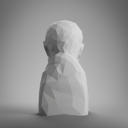 Anatolian Gift BoxZeno - Low Poly Bust
